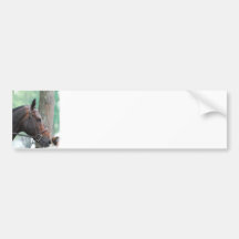 Tacked Dark Bay Horse Bumper Sticker