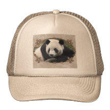 TAI SHAN HAT