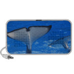 Tail of a Whale  Portable Speakers