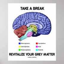 Take A Break Revitalise Your Grey Matter (Brain) Print