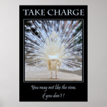 Take Charge Posters
