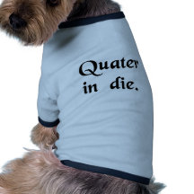 Take four times a day. pet tshirt