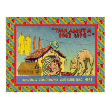 Talk about a dog's life... post cards