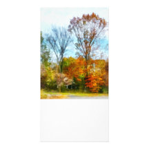 Tall Autumn Trees Personalized Photo Card