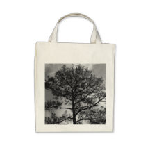 Tall Pine Bags