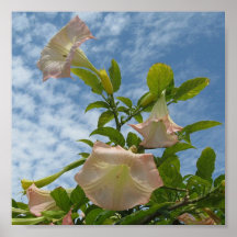 Tall Pink Posters