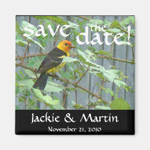 Tanager Bird Save the Date Magnet