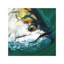 Tarpon Head Stretched Canvas Print