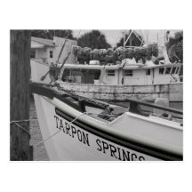 Tarpon Postcards