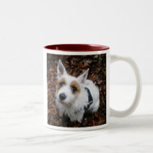 Tasse