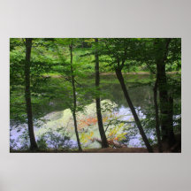 Taunton River Posters