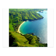 Taupo Bay, New Zealand Postcard