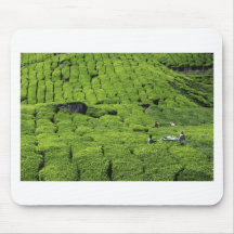 Tea plantation harvest of lush green plants mouse pads