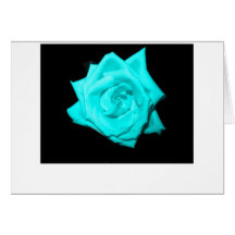 Teal aqua coloured rose solid black background cards