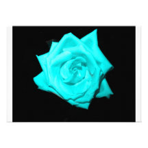 Teal aqua coloured rose solid black background custom invitations