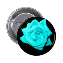 Teal aqua coloured rose solid black background pin
