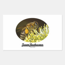 Team Beekeeper (Bee On Yellow Flower) Rectangle Stickers