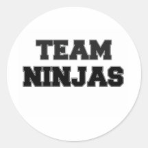 Team Ninjas Round Sticker