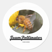 Team Pollinator (Bee On Yellow Flower) Round Sticker