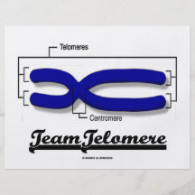 Team Telomere (Biology Humour) Personalised Flyer