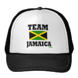 teamjam1 hats