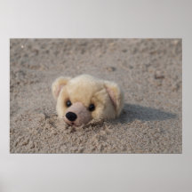 Teddy in Sand Posters