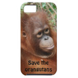 Teddy Orangutan on Island of Borneo casemate cases