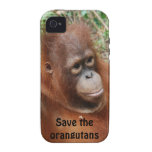 Teddy Orangutan on Island of Borneo casemate cases
