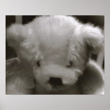 teddy poster