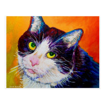 Teddy the Cat signed Post Card