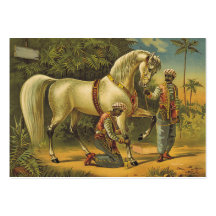 TEE Horse Royalty Business Card