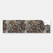 Telescope shells (Telescopium telescopium) Shell Bumper Sticker