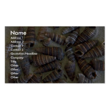 Telescope shells (Telescopium telescopium) Shell Business Card Templates