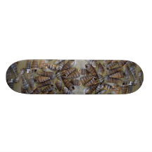 Telescope shells (Telescopium telescopium) Shell Skate Boards