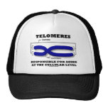Telomeres Responsible For Aging At Cellular Level Hat