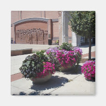 Temple Plaza Fridge Magnets