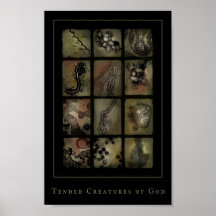 tender creatures of god poster