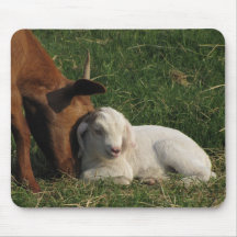 Tender Love - Mouse Pad