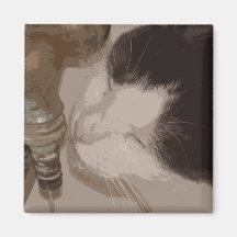 Tess Magnets