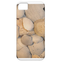 test for royalty and text fields breaking batch 2 iPhone 5 cases