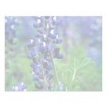 Texas Bluebonnet Custom Invitation