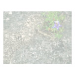 Texas Bluebonnet Custom Invitations