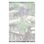 Texas Bluebonnet Custom Stationery