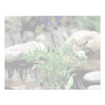 Texas Bluebonnet Invitation