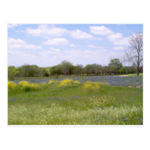Texas Landscape Postcards