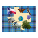 Texas State Symbols Postcard