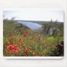 Texas Wildflowers - Indian Blanket Mousepads