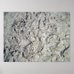 Texture of dry cracked soil posters