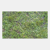 Texture of Grass and Small Plants Rectangle Stickers