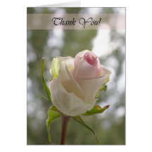 Thank You Acknowledgement Card